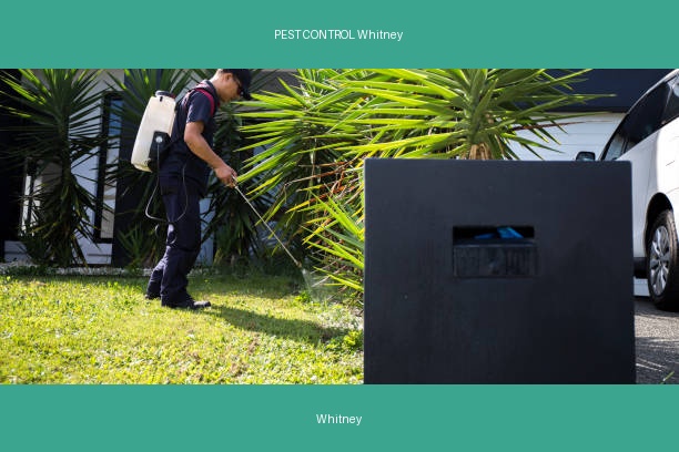 PEST CONTROL Whitney